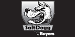 saltdogg logo